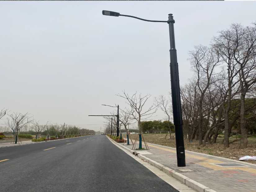凤庆县上海综合杆 太阳能路灯工程